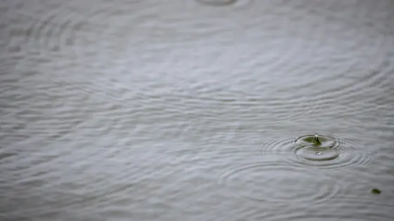 Ripples spreading across a still water surface